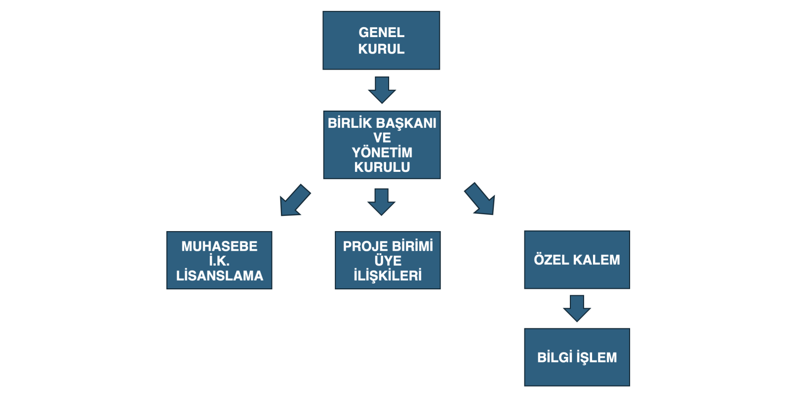 Organizasyon Yapısı